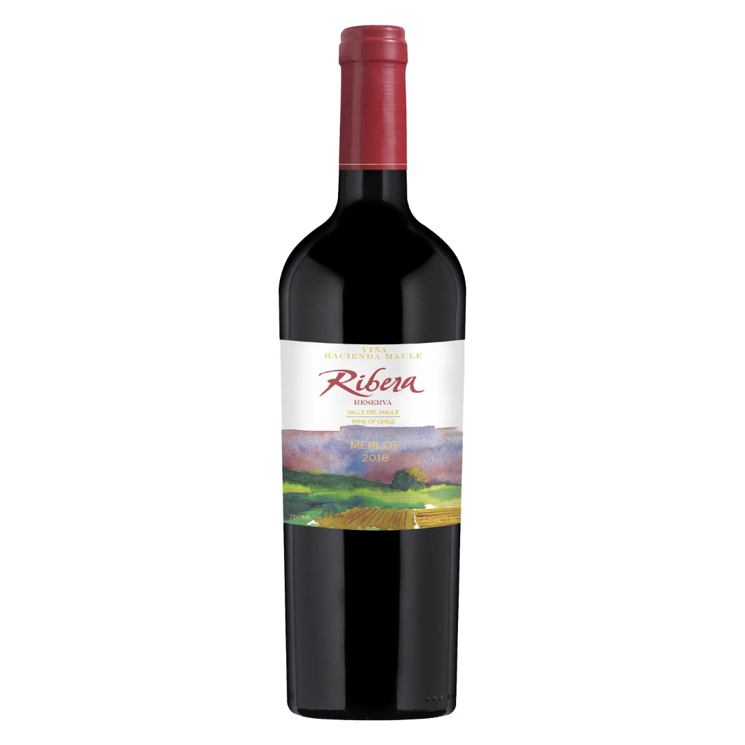 Garrafa do vinho tinto chileno Ribera Reserva Merlot em fundo branco, destacando o rótulo frontal.