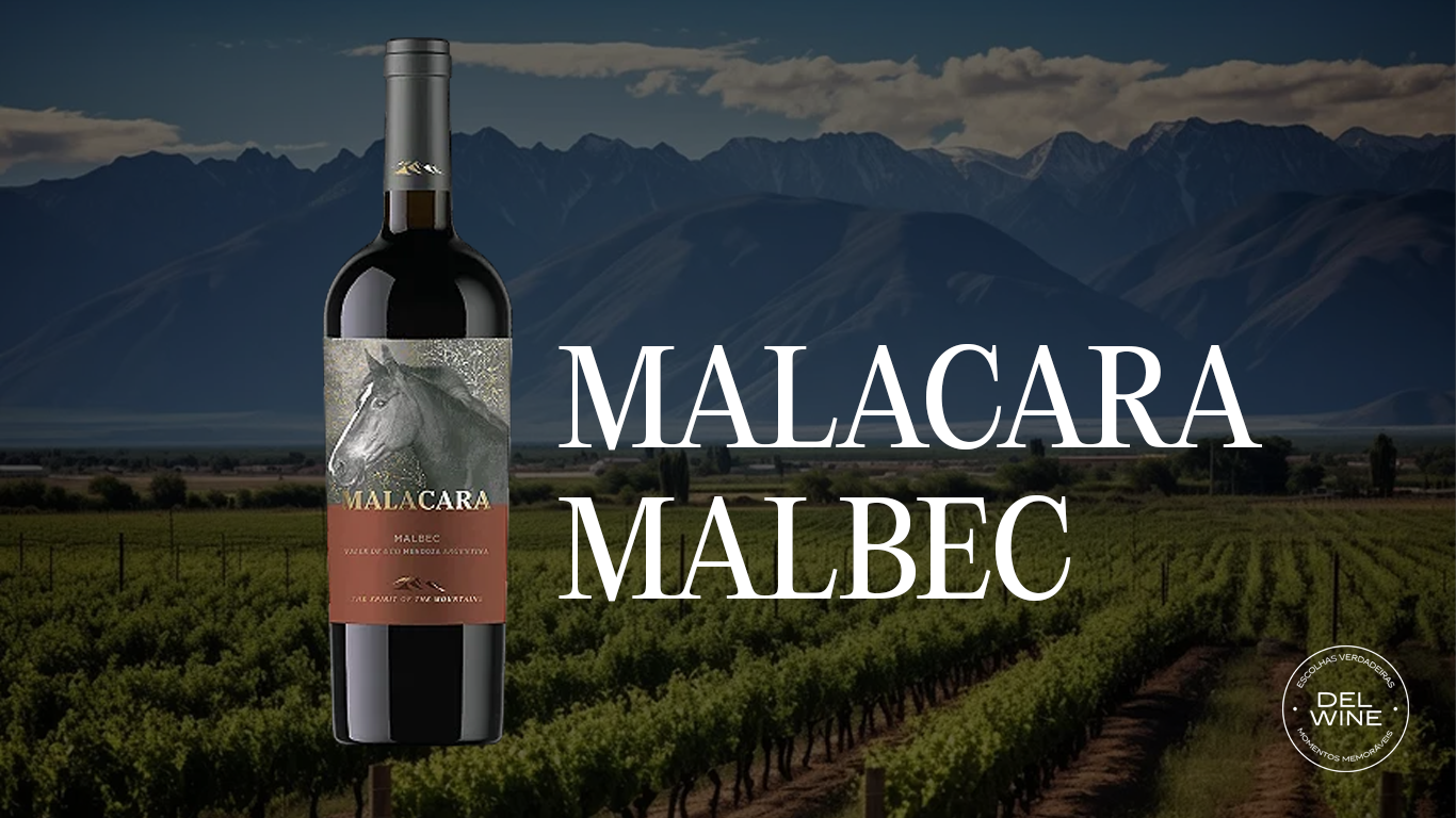 Malacara Malbec Guia Completo do Vinho Argentino