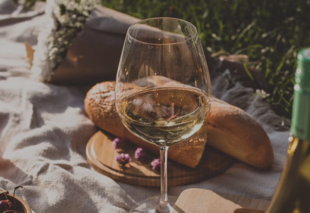 #12 Melhores vinhos da Argentina