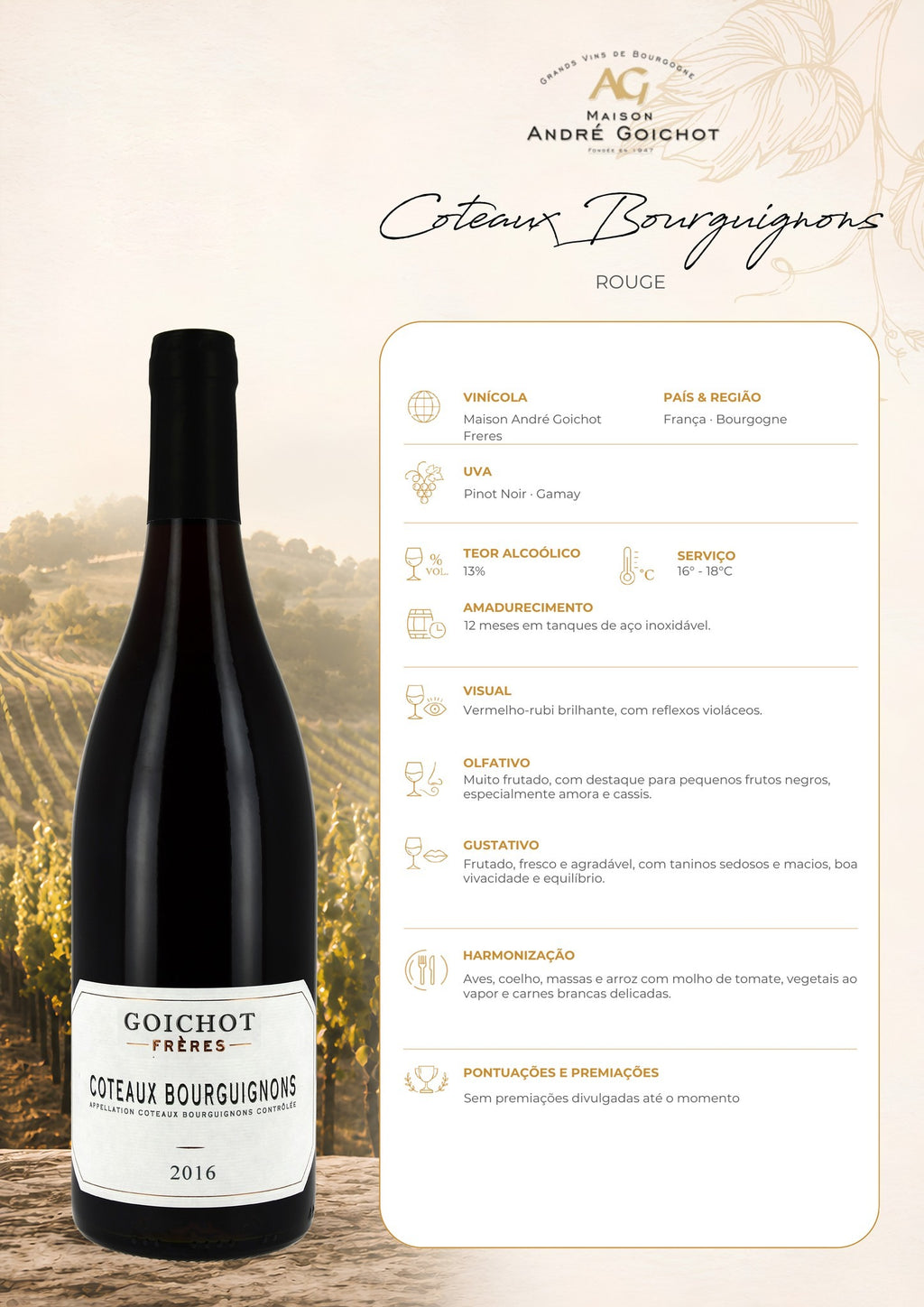 Ficha técnica do vinho tinto Maison Goichot Coteaux Bourguignons Rouge, com informações de uva, origem, vinificação, harmonização e serviço.
