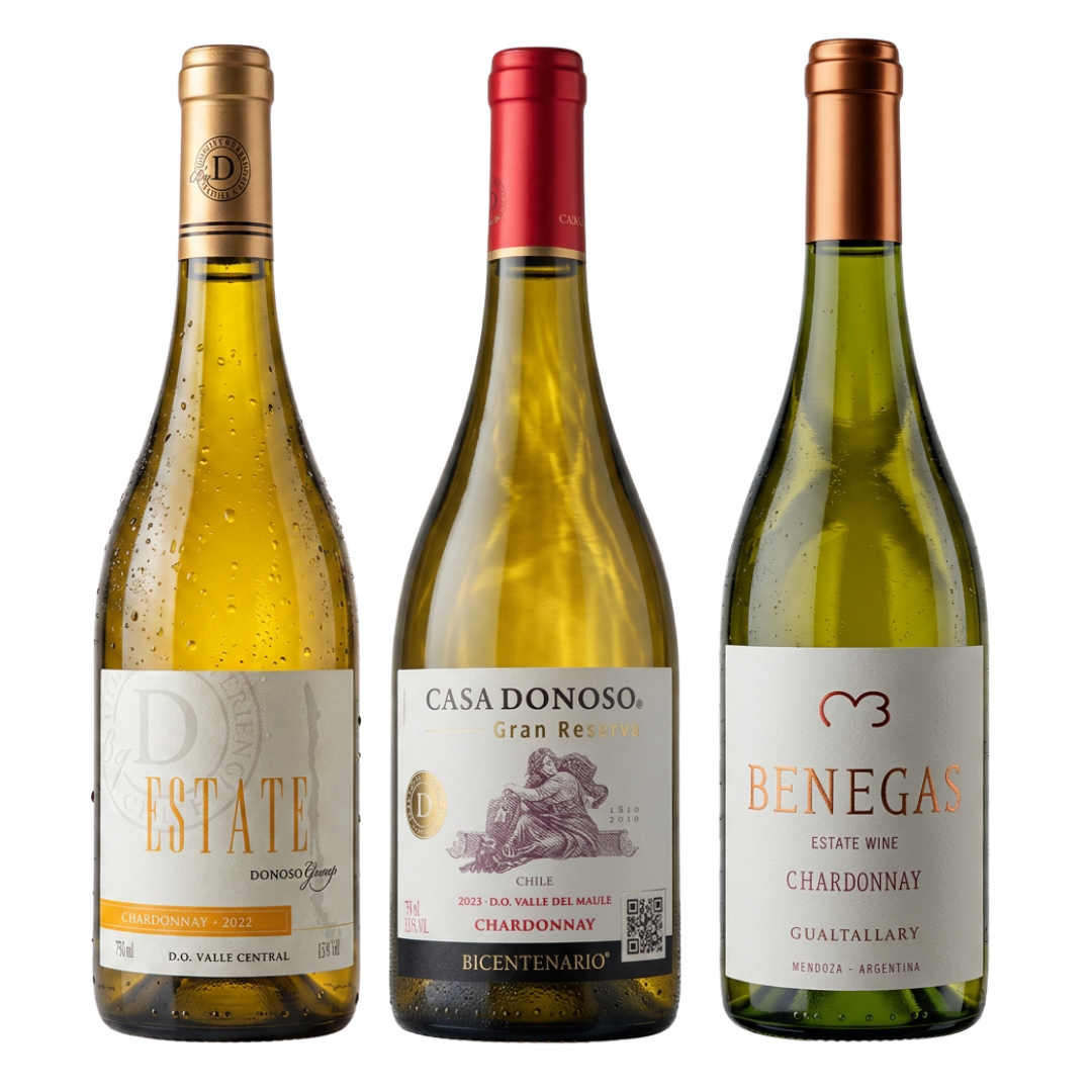 Kit Vinho Branco Experiência Chardonnay 3 Garrafas