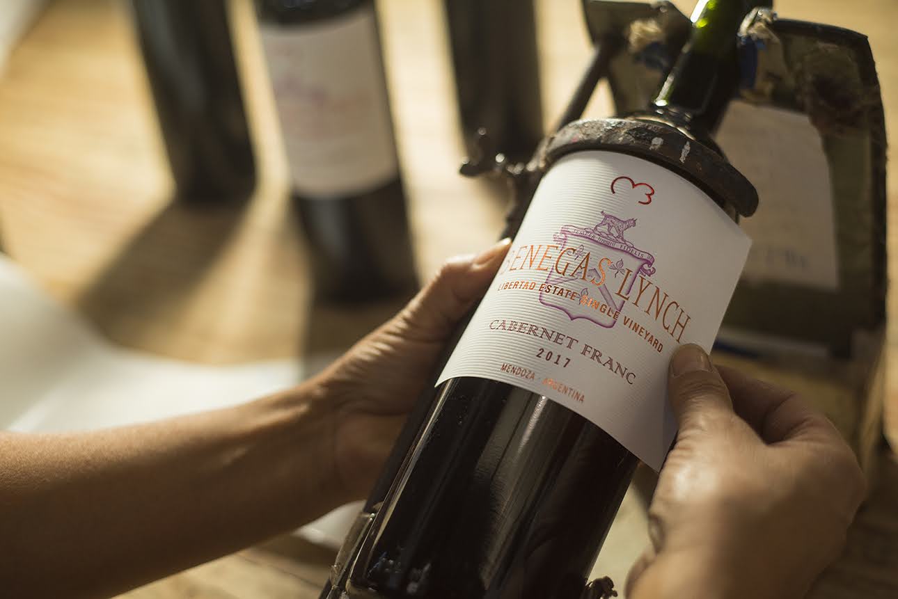 Vinho Tinto Benegas Lynch Cabernet Franc Single Vineyard Mendoza