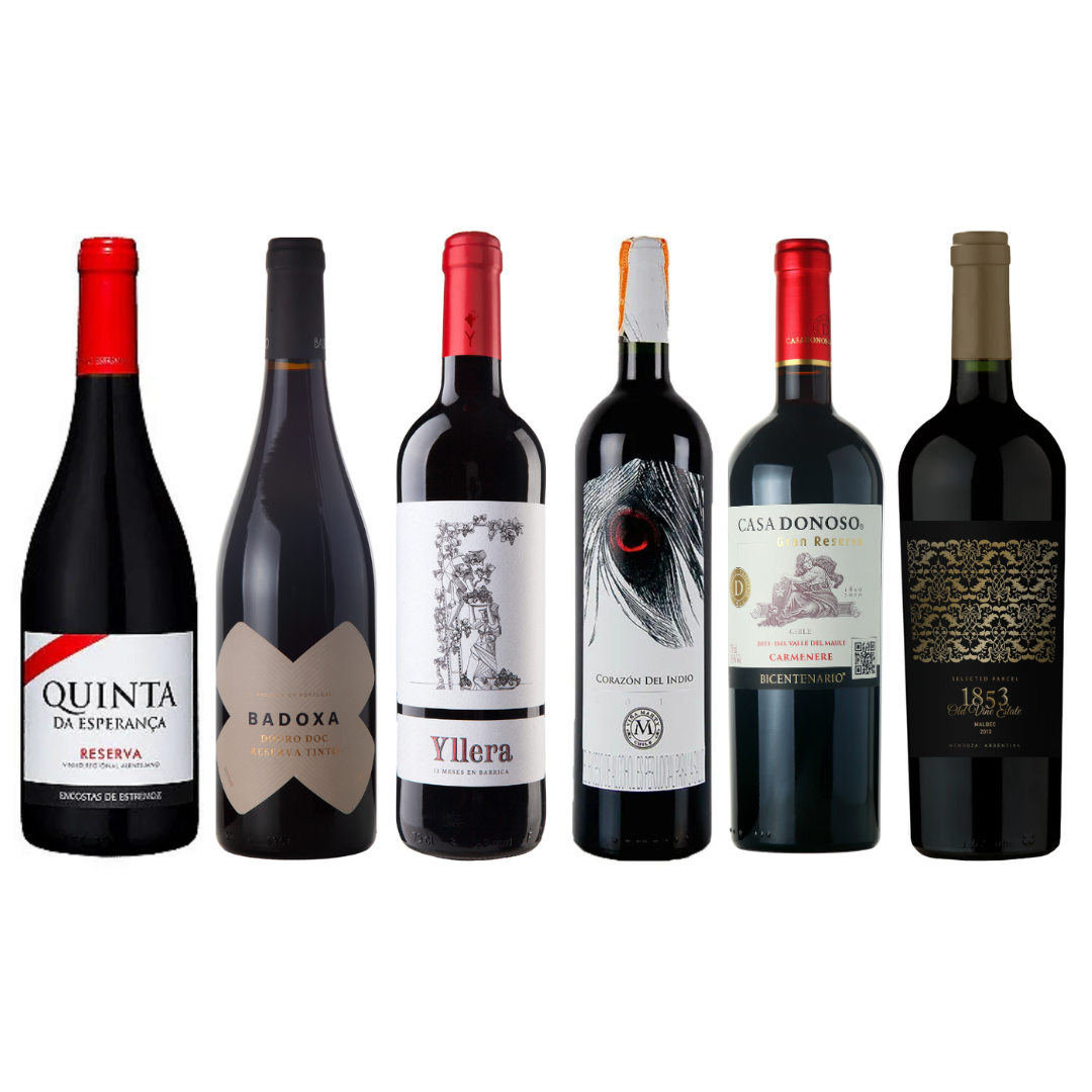 Kit Vinhos 12 meses de barrica