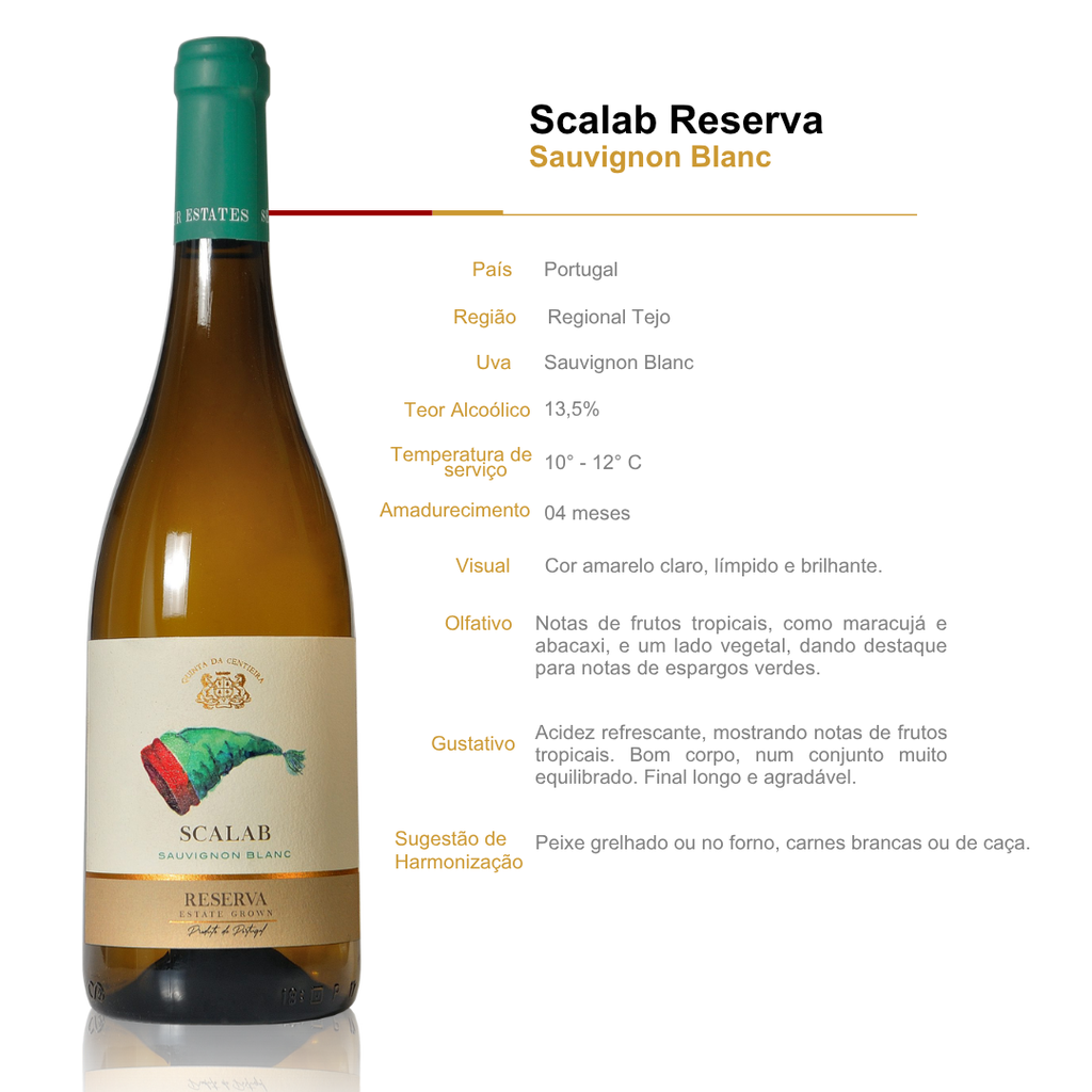 Vinho Branco Scalab Reserva Sauvignon Blanc