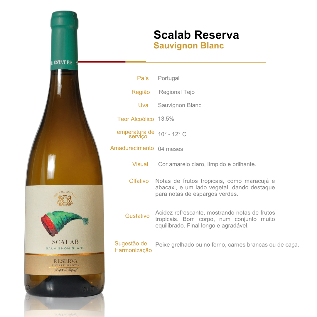 Vinho Branco Scalab Reserva Sauvignon Blanc