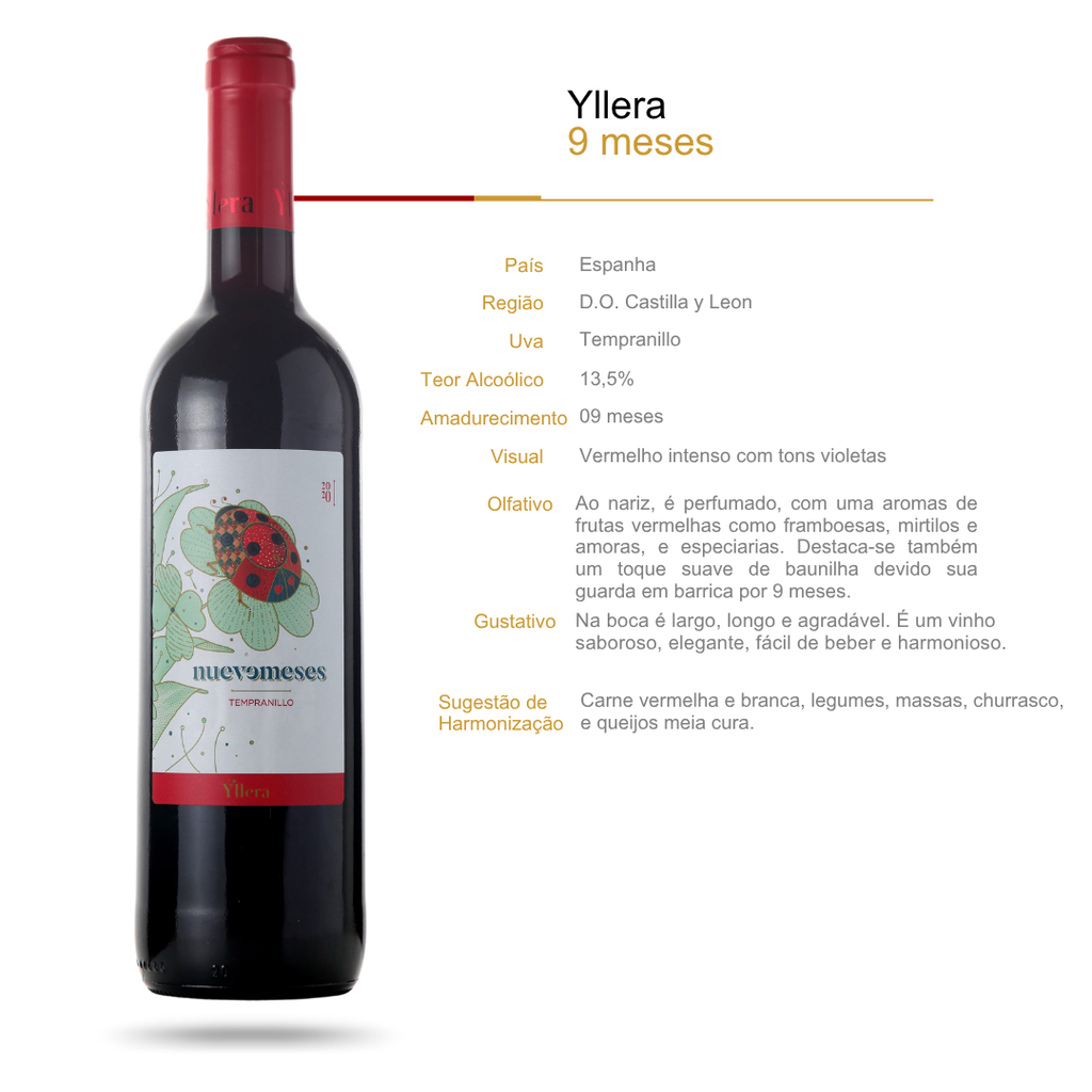 Yllera Roble 9 Meses