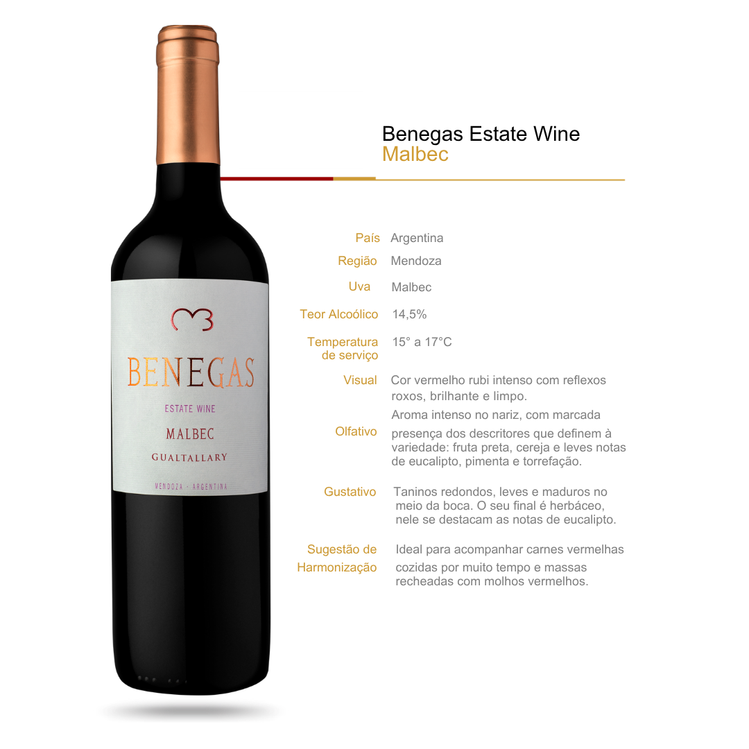 Vinho Tinto Juan Benegas Malbec Mendoza