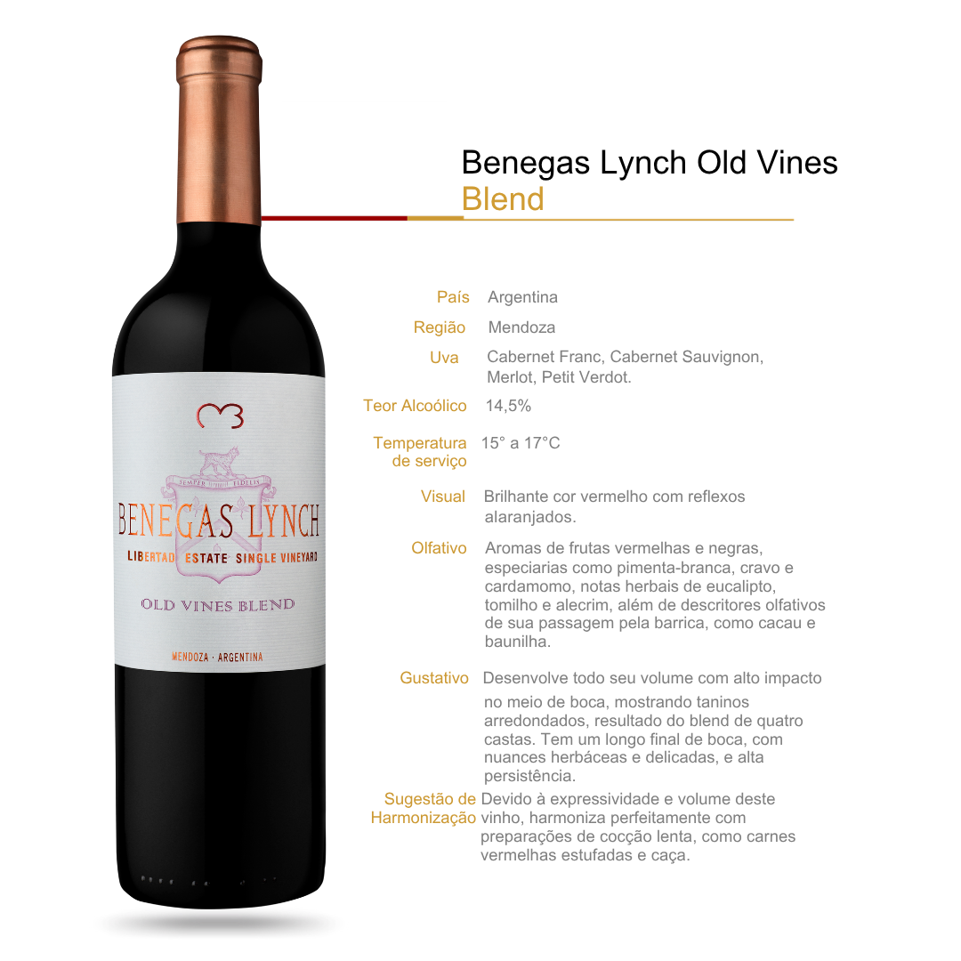 Vinho Tinto Benegas Lynch Old Vines Blend Finca Libertad Mendoza