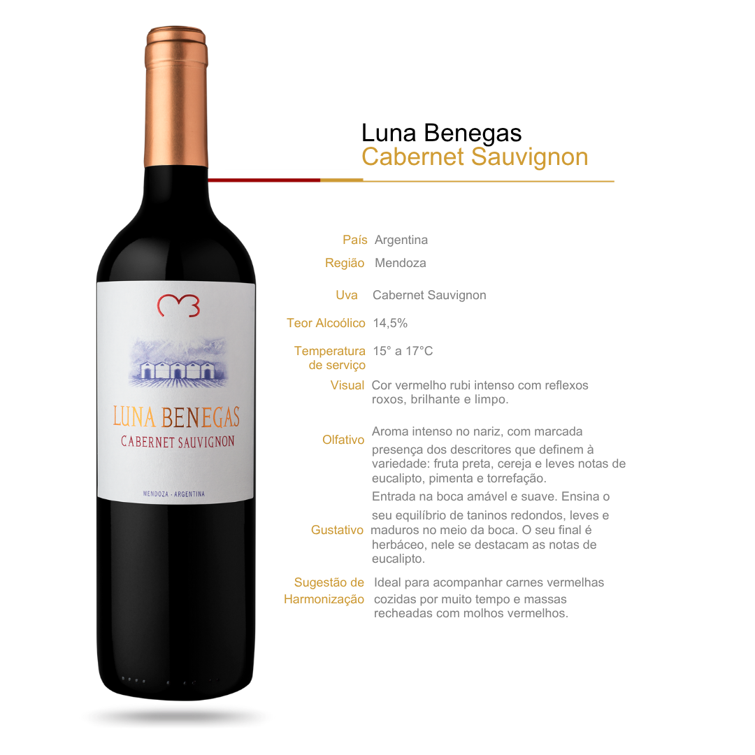 Vinho Tinto Luna Benegas Cabernet Sauvignon Mendoza Argentina