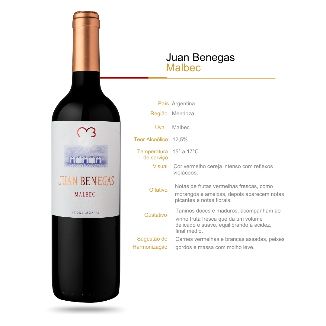 Vinho Tinto Juan Benegas Malbec Mendoza
