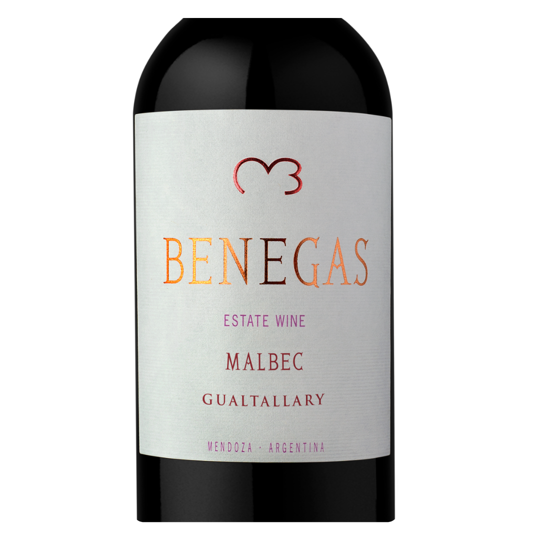 Close-up do rótulo do Benegas Lynch Malbec da Bodega Benegas, mostrando a linha Benegas Lynch, a uva Malbec, a origem Single Vineyard Finca La Encerrada, Gualtallary, Vale do Uco, Mendoza, Argentina, e a premiação 95 pontos James Suckling.