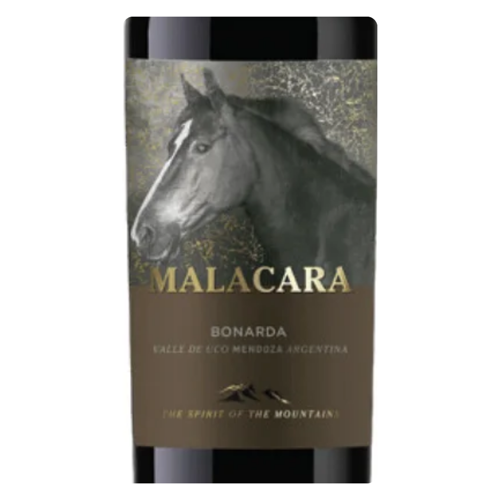 Close-up do rótulo do vinho Malacara Bonarda 750ml, mostrando o nome da vinícola Kauzo Estates e a denominação Mendoza.