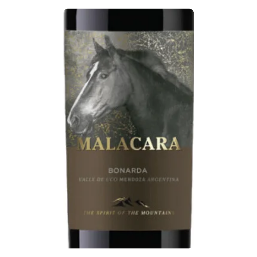 Close-up do rótulo do vinho Malacara Bonarda 750ml, mostrando o nome da vinícola Kauzo Estates e a denominação Mendoza.