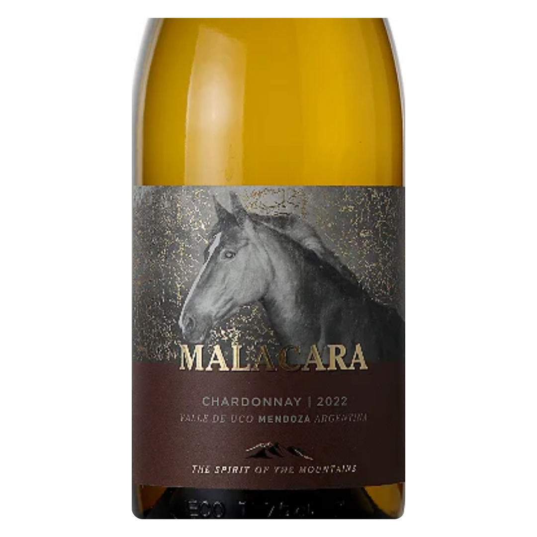 Close-up do rótulo do vinho Malacara Chardonnay 750ml, mostrando o nome da vinícola Kauzo Estates e a denominação Mendoza.