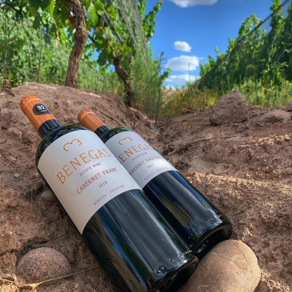 Vinho Tinto Benegas Lynch Cabernet Franc Single Vineyard Mendoza