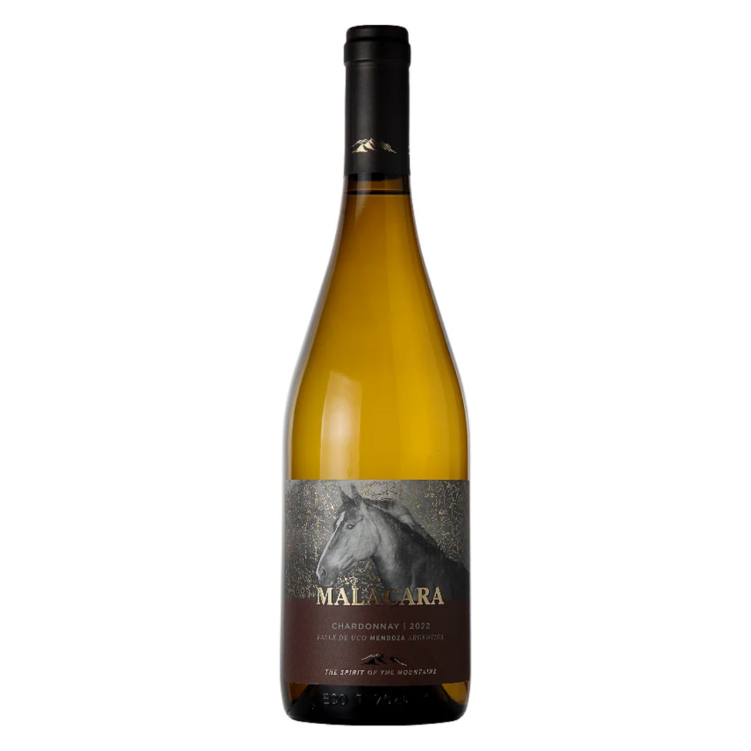 Garrafa do vinho branco argentino Malacara Chardonnay 750ml em fundo branco, destacando o rótulo frontal com menção à vinícola Kauzo Estates e à região de Mendoza.