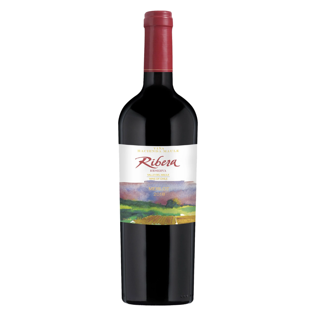 Garrafa do vinho tinto chileno Ribera Reserva Merlot em fundo branco, destacando o rótulo frontal.